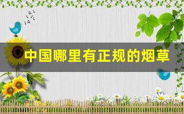 中国哪里有正规的烟草公司-中国四大烟草公司有哪些