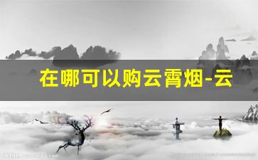 在哪可以购云霄烟-云霄烟有能进实体店的吗