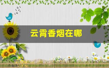云霄香烟在哪