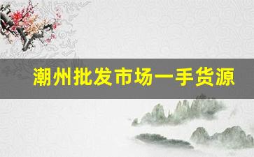 潮州批发市场一手货源-潮州哪里有最大的批发市场