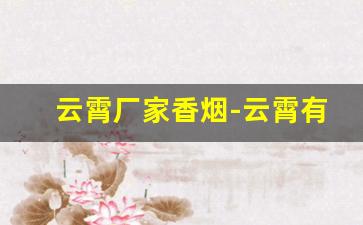 云霄厂家香烟-云霄有自己的香烟品牌吗