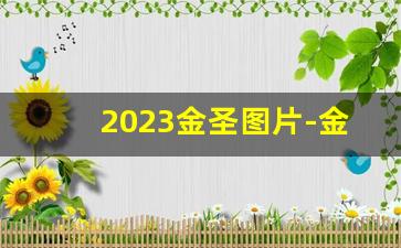 2023金圣图片-金圣162