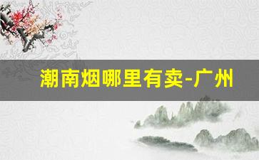 潮南烟哪里有卖-广州20支烟价格表