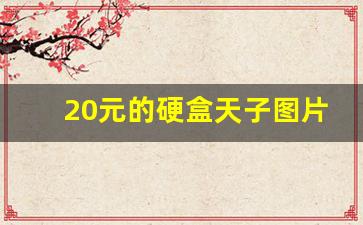 20元的硬盒天子图片-天子40元一盒图片