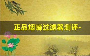 正品烟嘴过滤器测评-烟嘴过滤器测评第一名