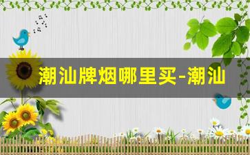 潮汕牌烟哪里买-潮汕牌的烟哪里买