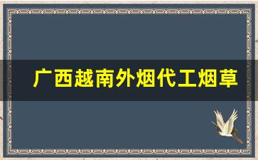 广西越南外烟代工烟草批发代理-越南代工烟怎么销售到商行