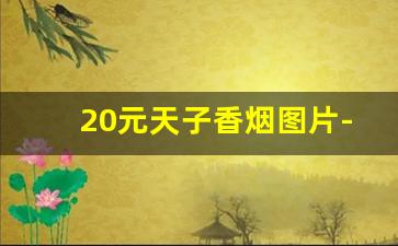 20元天子香烟图片-天子40元香烟图片