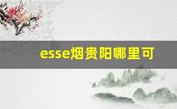 esse烟贵阳哪里可以买-esse烟广东有卖的吗