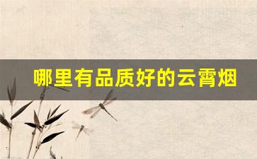 哪里有品质好的云霄烟-云霄烟哪里实体批发的比较多