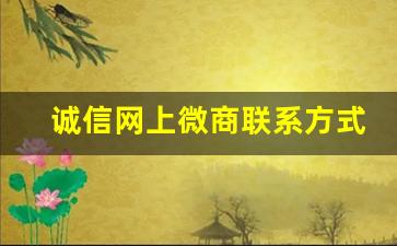 诚信网上微商联系方式推荐-微商百强团队联系方式