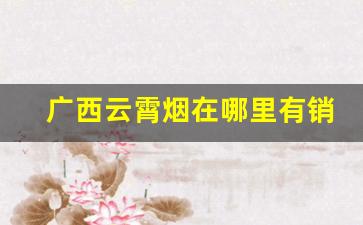 广西云霄烟在哪里有销售的-现在云霄烟都在哪里销售