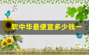 软中华最便宜多少钱一条-两条软中华最便宜多少钱