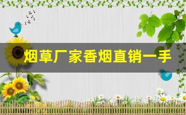 烟草厂家香烟直销一手货源