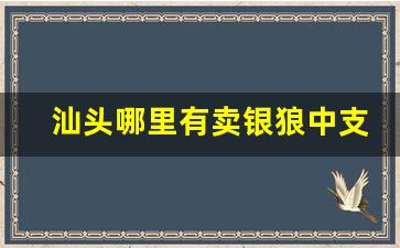 汕头哪里有卖银狼中支香烟的-汕头2025年10块左右的香烟有哪些