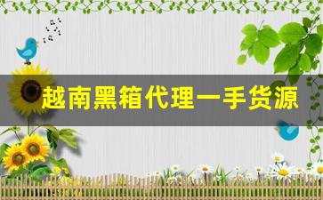 越南黑箱代理一手货源-俄货店正品货源渠道