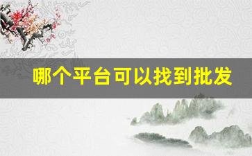 哪个平台可以找到批发商-批发平台哪个平台便宜