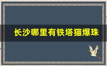 长沙哪里有铁塔猫爆珠香烟-成都铁塔猫香烟一般在哪里有卖