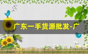 广东一手货源批发-广东正品批发市场一手货源
