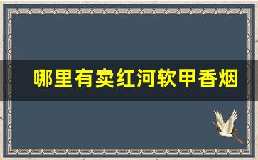 哪里有卖红河软甲香烟-红河软88香烟多少钱一盒
