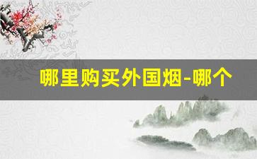 哪里购买外国烟-哪个地方有卖外国烟的