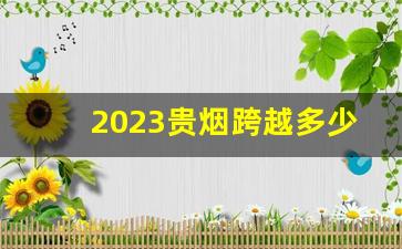 2023贵烟跨越多少钱一包-2024最贵烟价格表