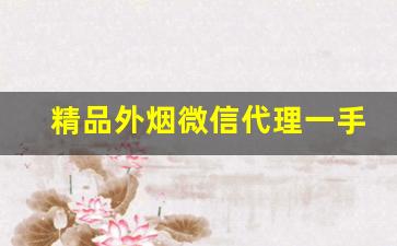 精品外烟微信代理一手货源-外烟代销赚钱吗