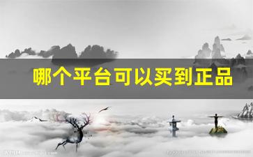 哪个平台可以买到正品-哪个平台购买东西是正品