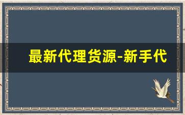 最新代理货源-新手代理货源渠道