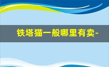 铁塔猫一般哪里有卖-铁塔猫在哪里有正品