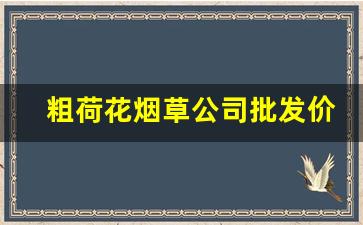 粗荷花烟草公司批发价是多少-2024荷花烟草价目表出厂价
