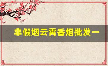 非假烟云霄香烟批发一手货源-云霄烟假烟批发100支