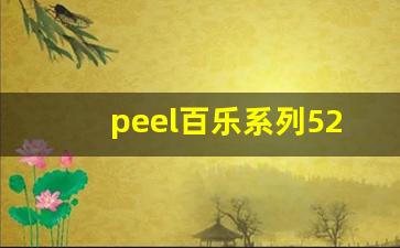 peel百乐系列520一盒-百乐peel各种口味价格