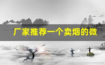 厂家推荐一个卖烟的微信-卖烟的烟都有自己店的码吗