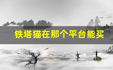 铁塔猫在那个平台能买得到-铁塔猫正规购买途径