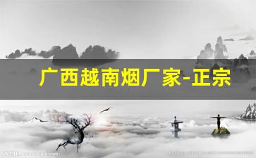 广西越南烟厂家-正宗越南代工香烟