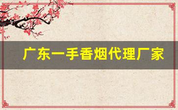 广东一手香烟代理厂家-广东香烟供货商