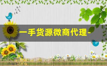 一手货源微商代理- 靠谱的微商货源渠道 