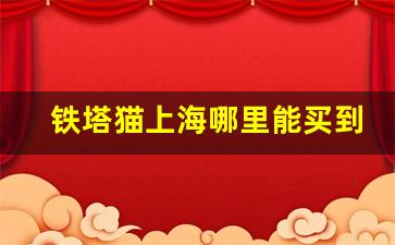 铁塔猫上海哪里能买到-深圳铁塔猫在哪能购买