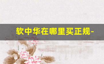 软中华在哪里买正规-怎么买到正品软中华