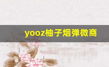 yooz柚子烟弹微商-yoyo柚子一盒有几个