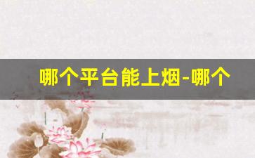 哪个平台能上烟-哪个平台可以自己下单烟