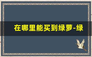 在哪里能买到绿萝-绿萝摆放的位置图