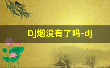 DJ烟没有了吗-dj一般在哪里有