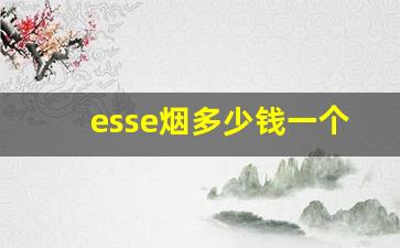 esse烟多少钱一个-esse烟图片及价格