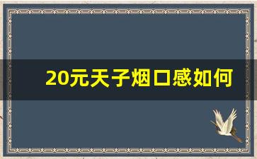 20元天子烟口感如何-20元天子烟买一条鉴别真假