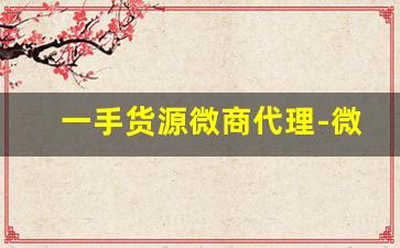 一手货源微商代理-微商去哪里找一手货源