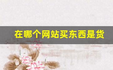 在哪个网站买东西是货到付款-网上买东西货到付款的平台