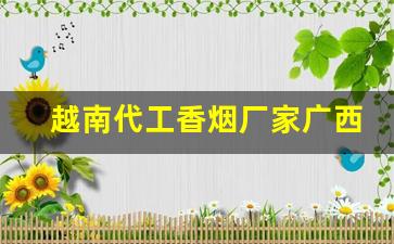 越南代工香烟厂家广西越南私香烟一手货源-越南代工香烟