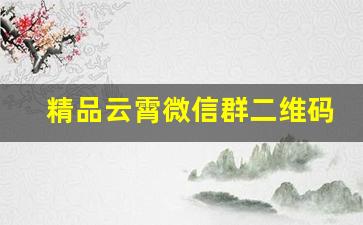 精品云霄微信群二维码-置顶群码